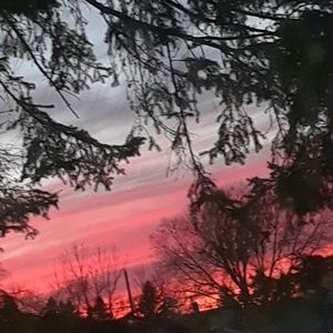 Meet your Posher, Abigail